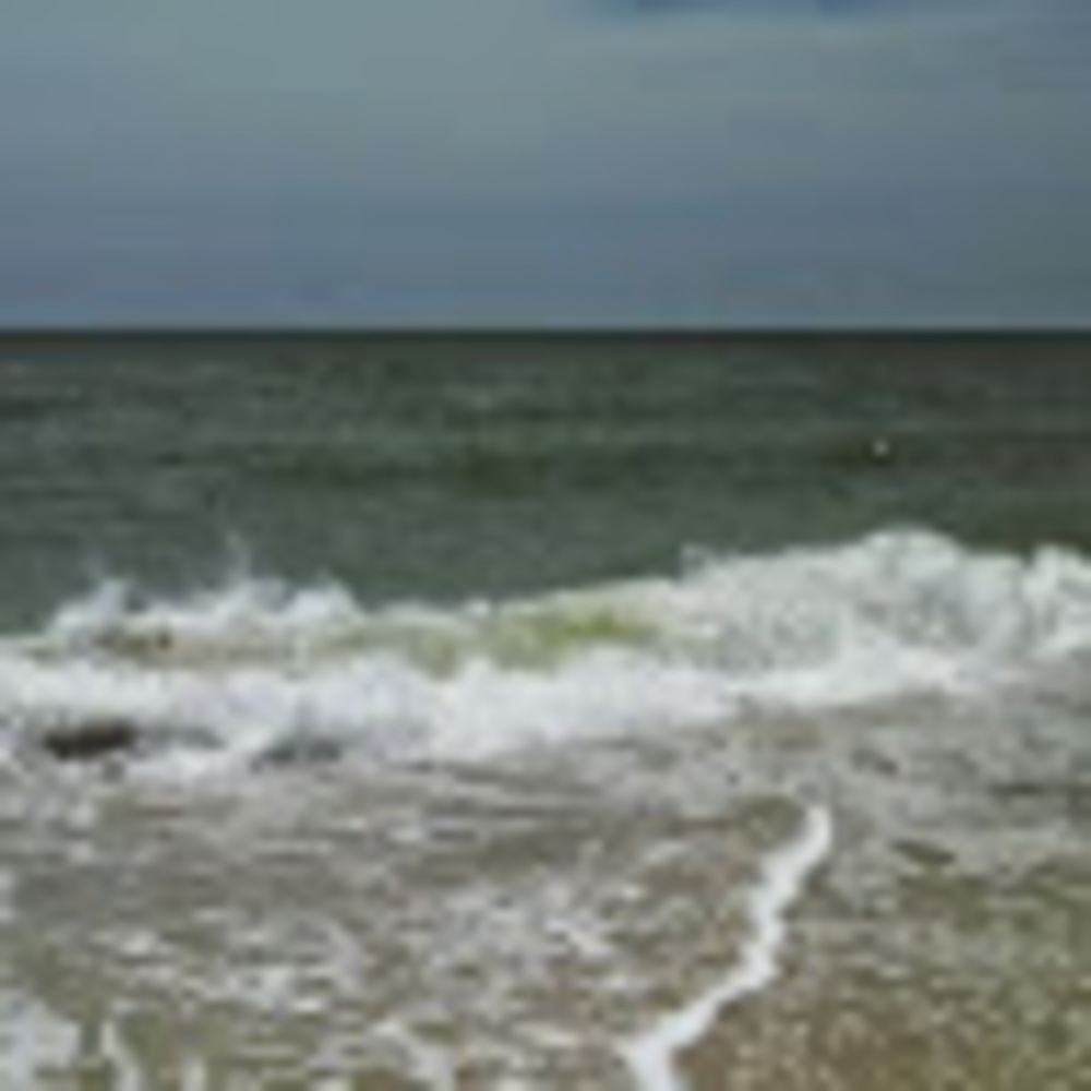 Meet your Posher, Darlyn a.